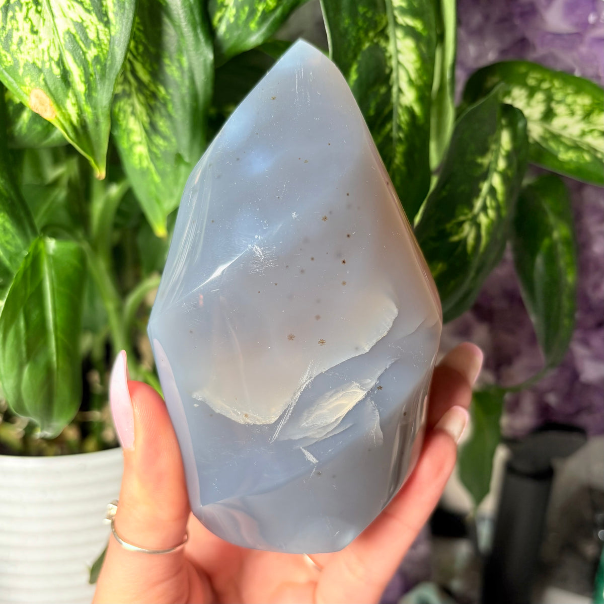 ORCA AGATE FLAMES