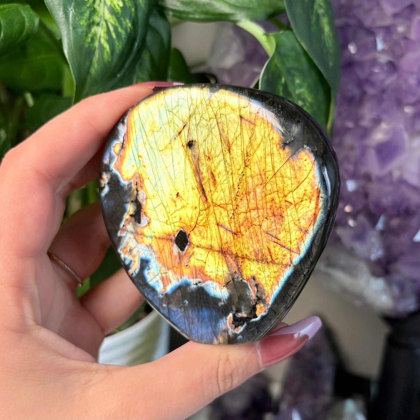 LABRADORITE FREEFORMS