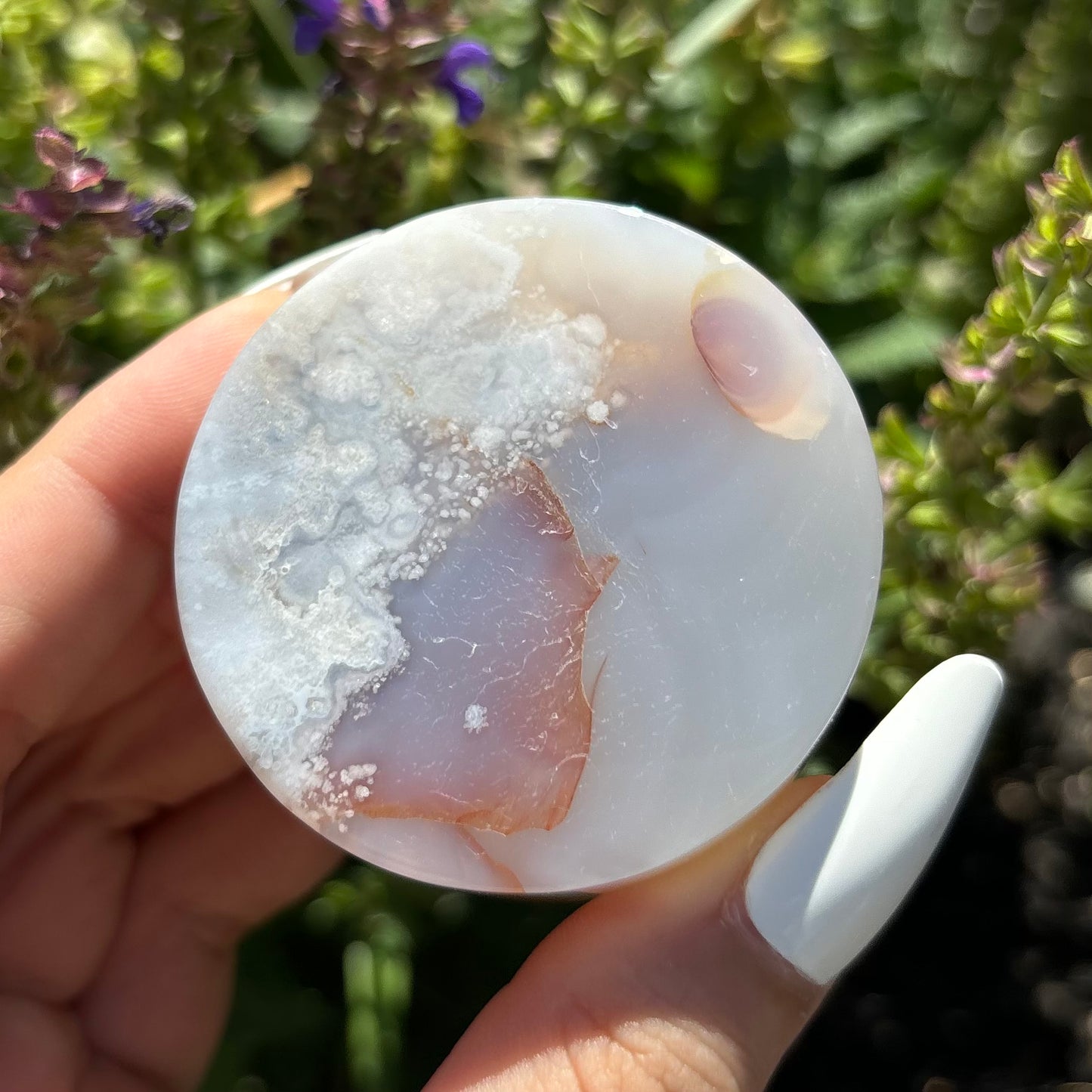 FLOWER AGATE SLICES