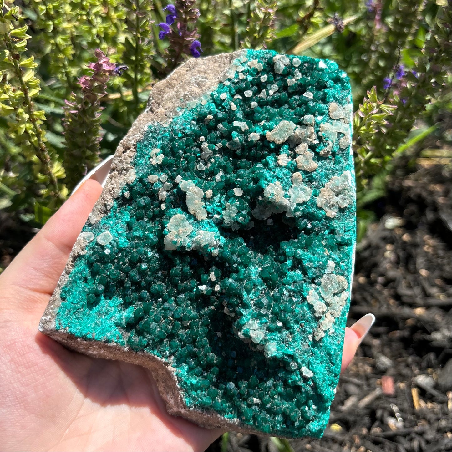 DIOPTASE SPECIMENS