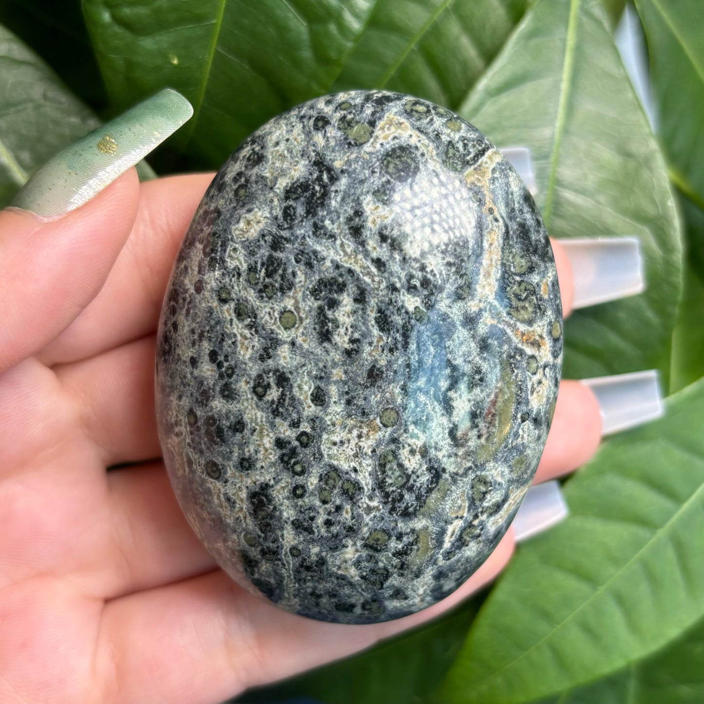 KAMBABA JASPER PALMSTONES