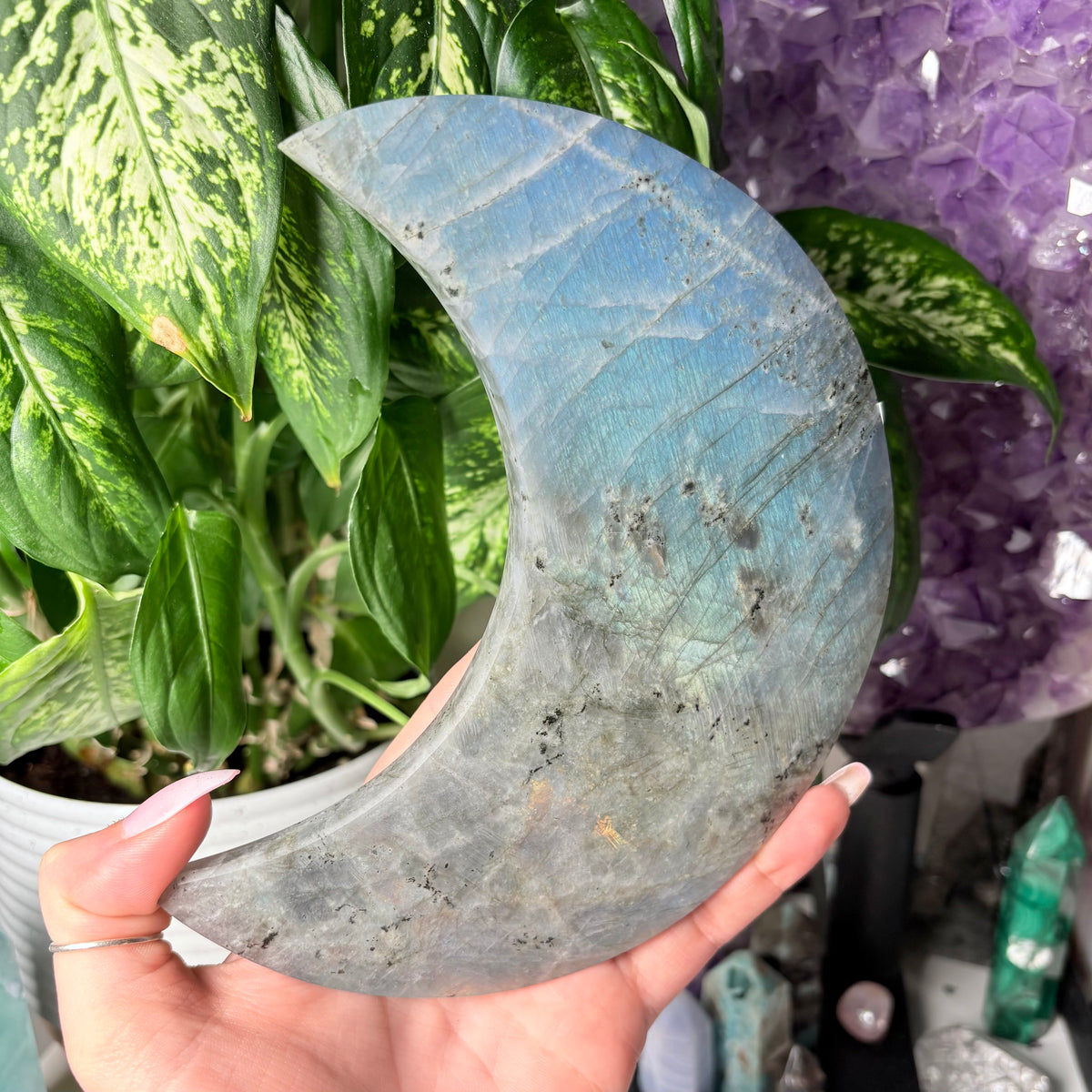LABRADORITE MOONS