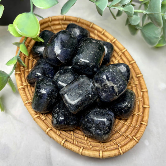 IOLITE W/ BLACK MICA TUMBLE