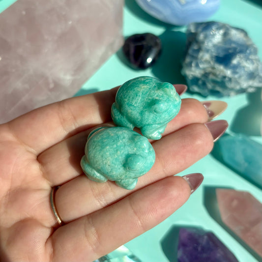 AMAZONITE FROGS