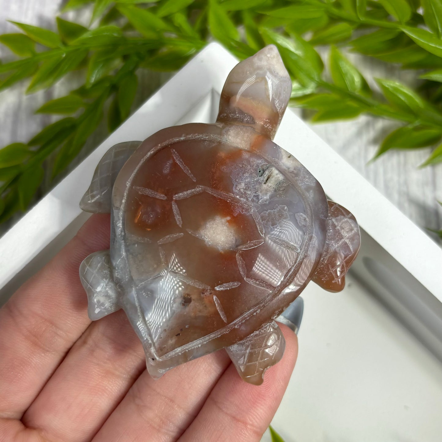 FLOWER AGATE TURTLES