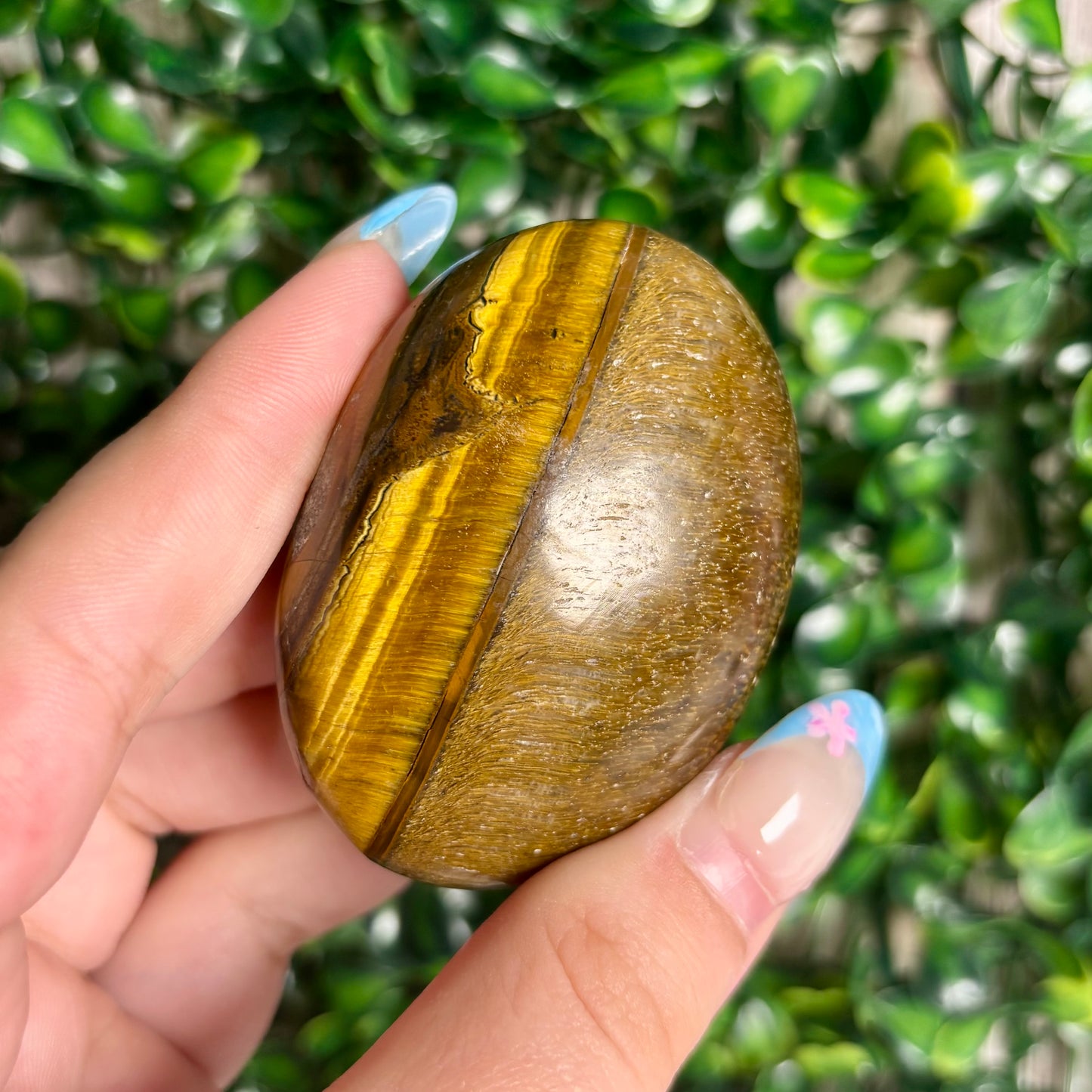 TIGERS EYE PALMSTONES