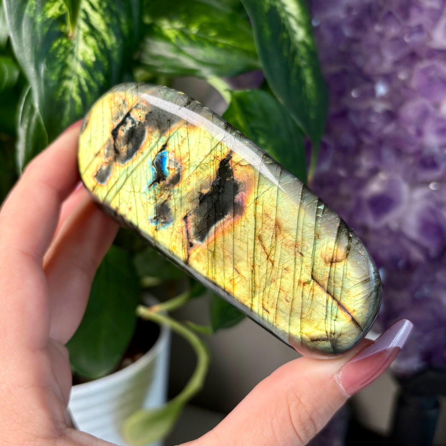 LABRADORITE FREEFORMS