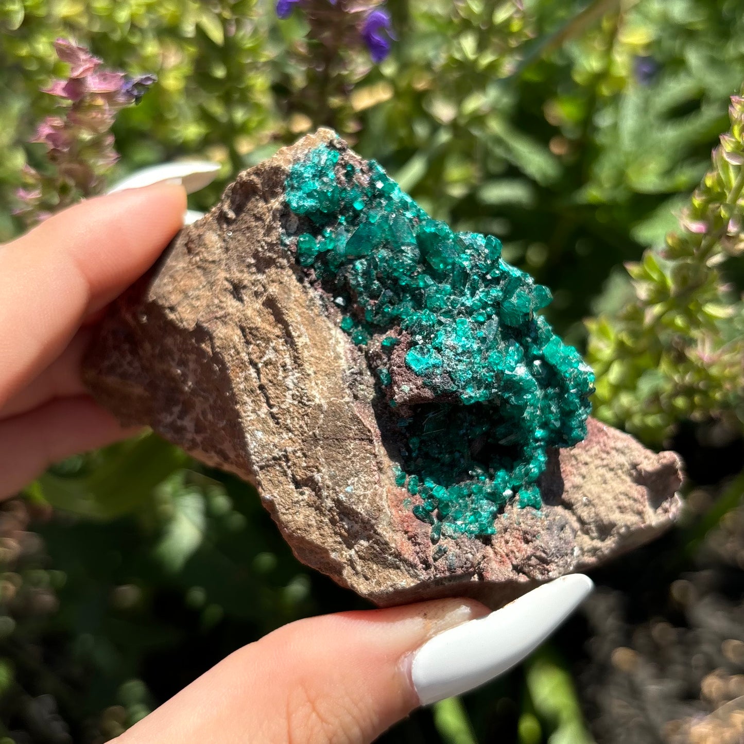 DIOPTASE SPECIMENS