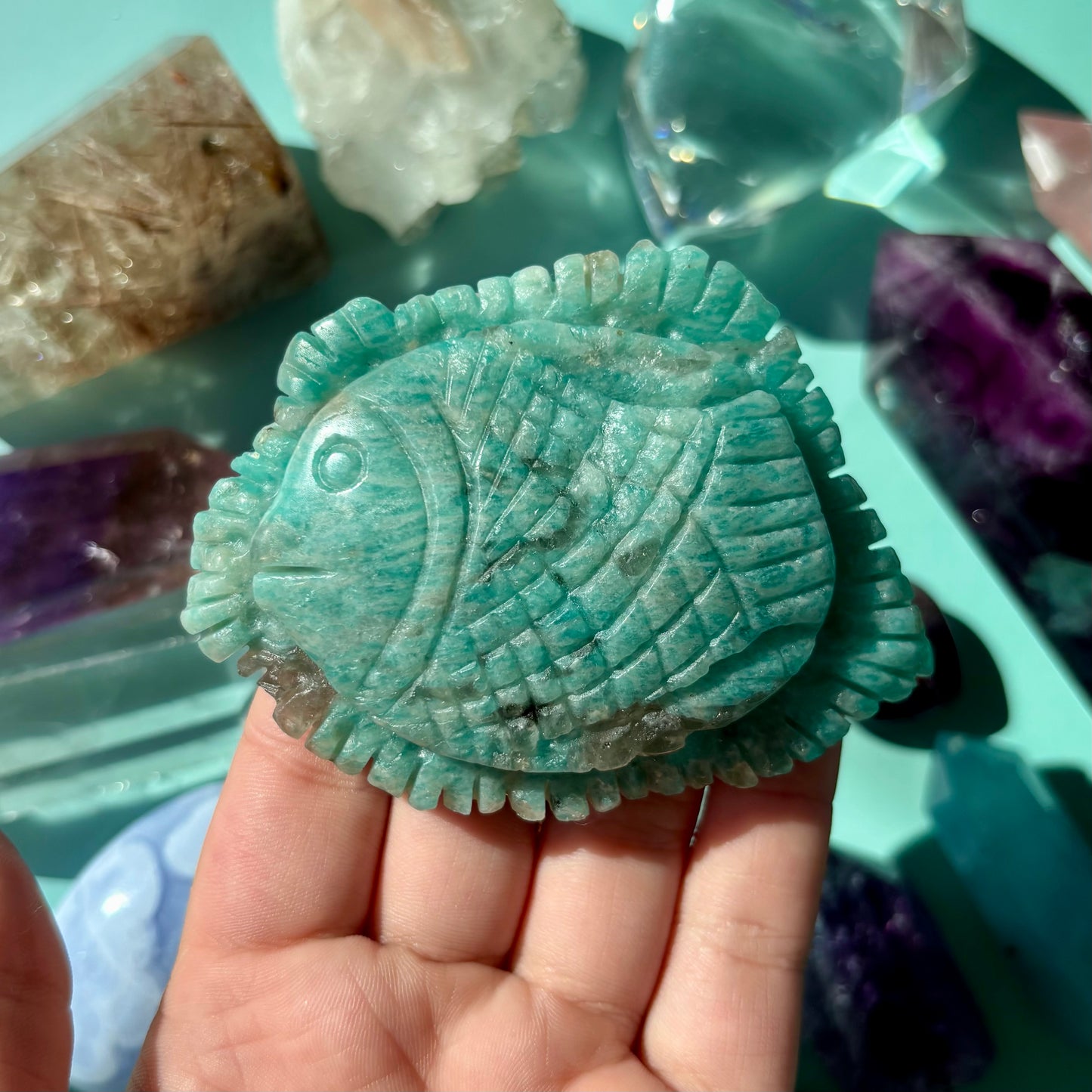 AMAZONITE SEA CREATURES