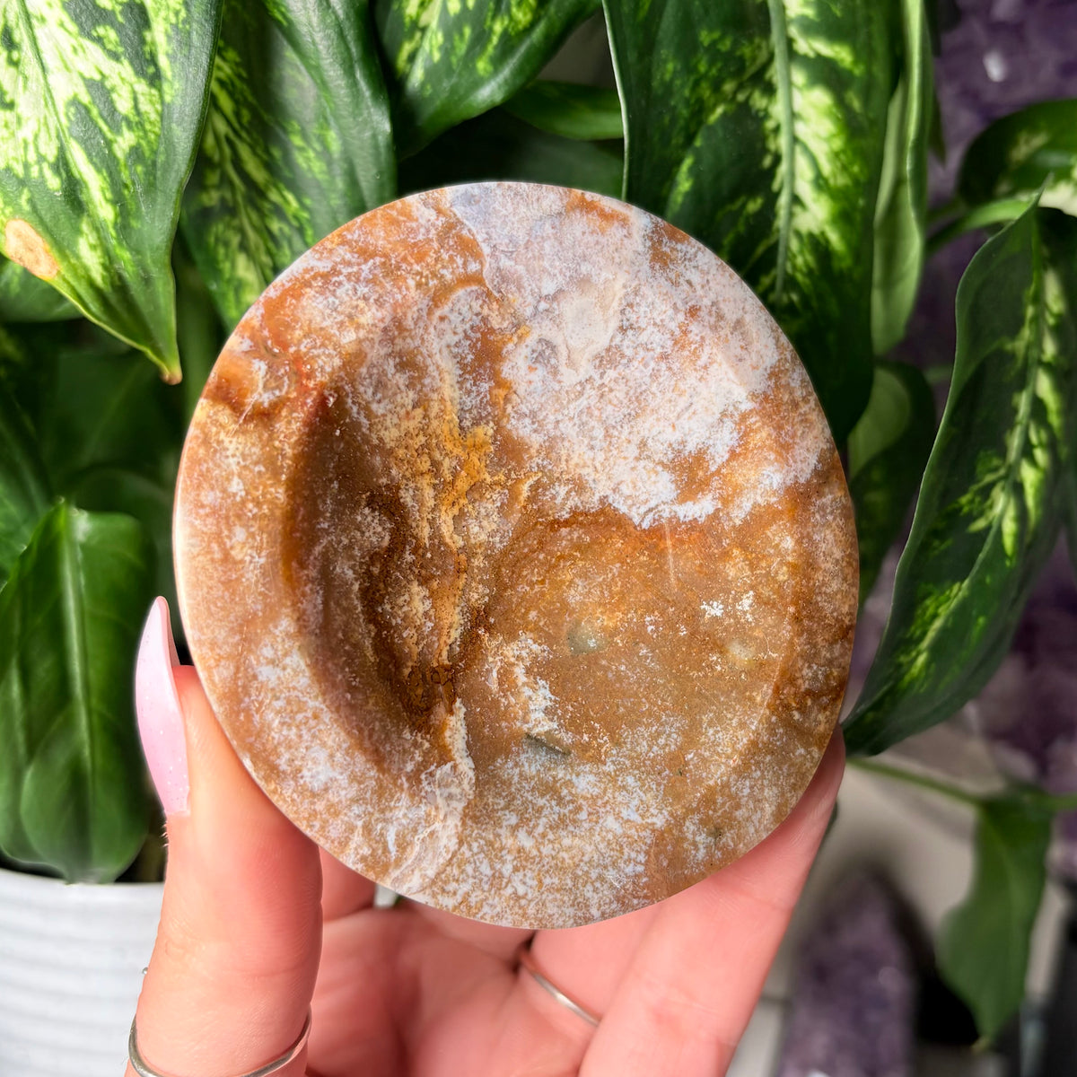 OCEAN JASPER BOWLS