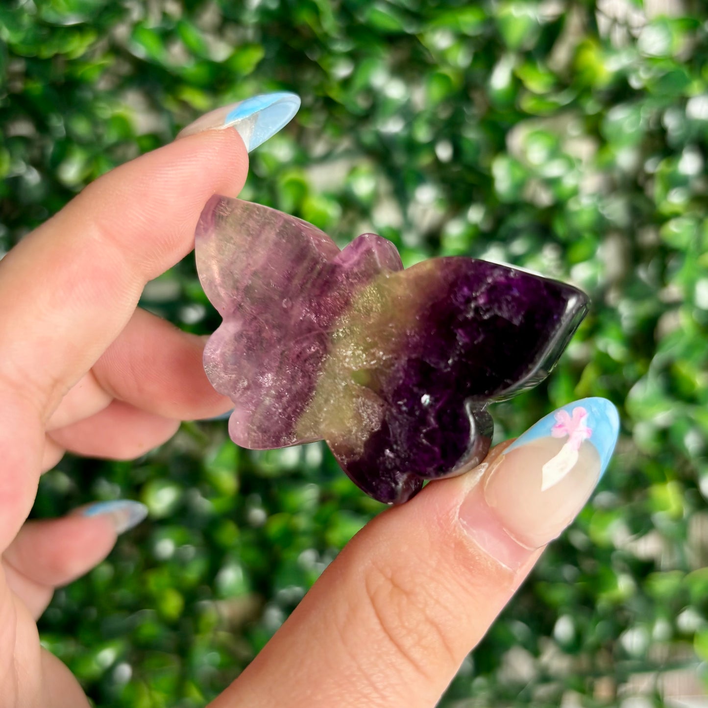 FLUORITE BUTTERFLY