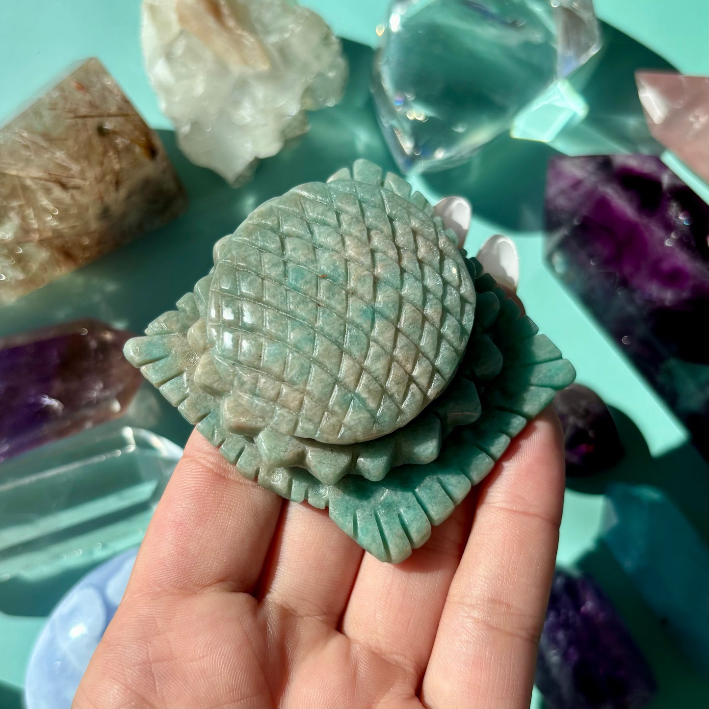 AMAZONITE SEA CREATURES