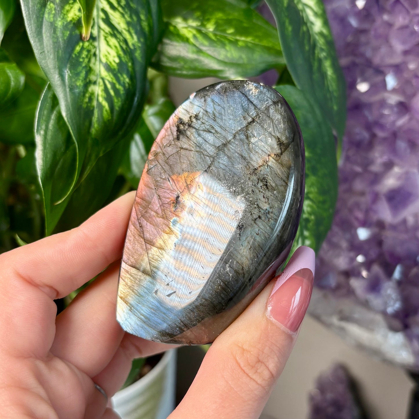 LABRADORITE FREEFORMS
