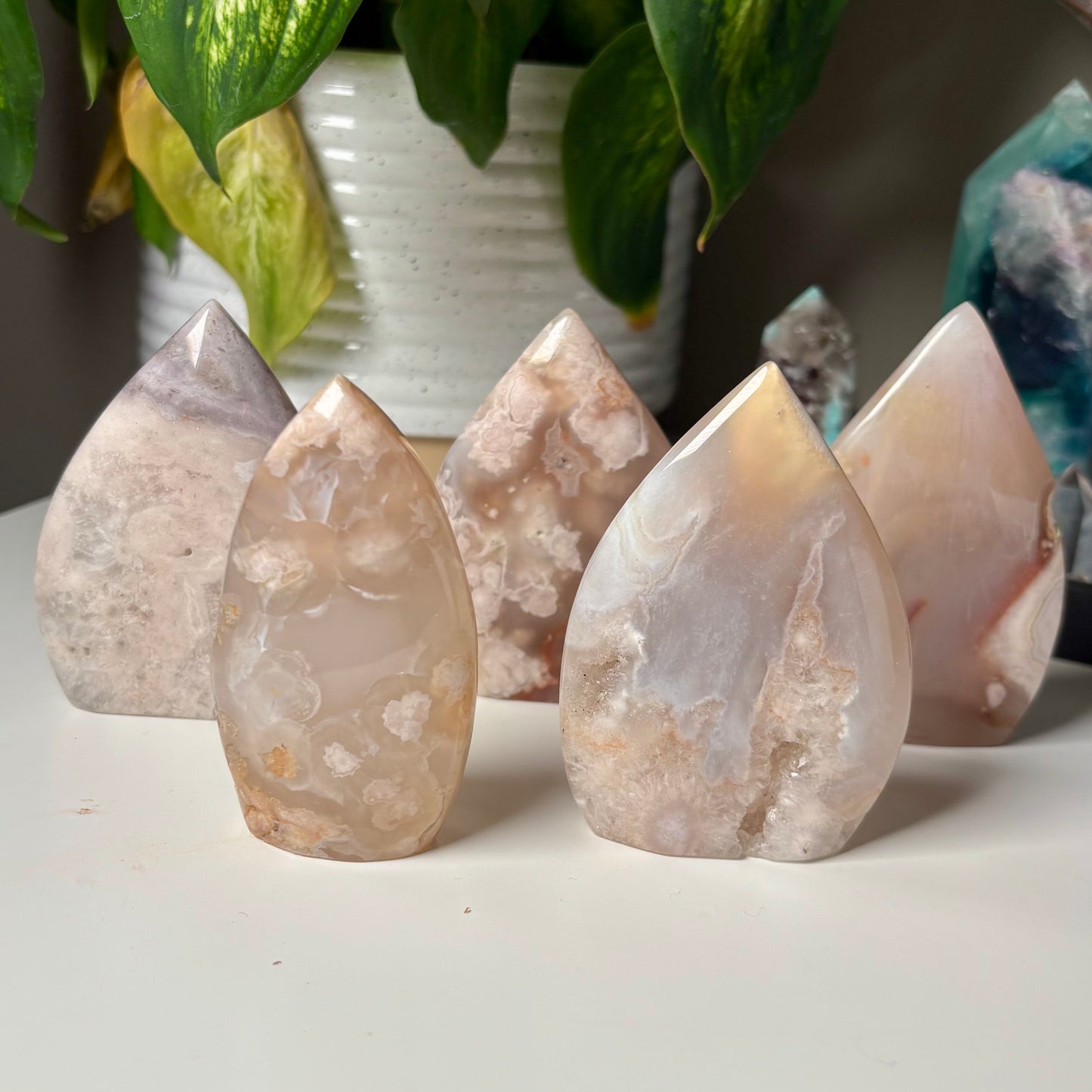 FLOWER AGATE FREEFORMS