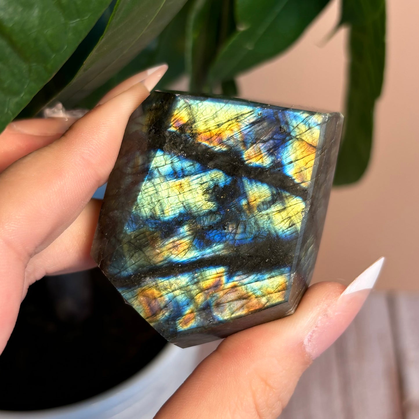 LABRADORITE GUSHERS