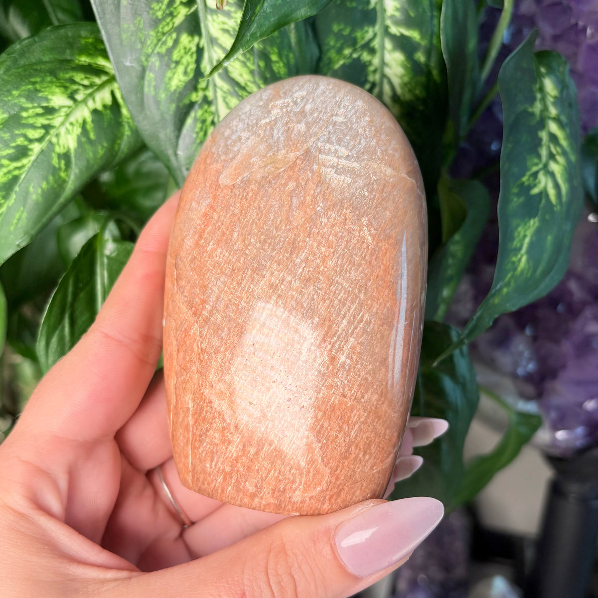 PEACH MOONSTONE FREEFORMS