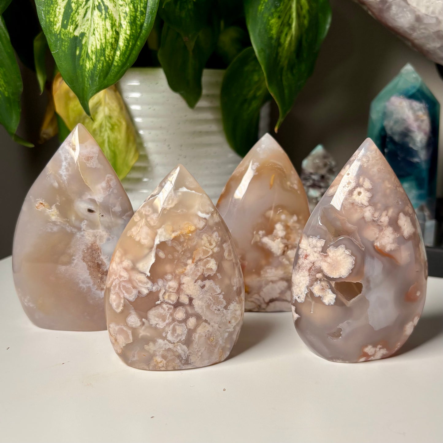 FLOWER AGATE FREEFORMS