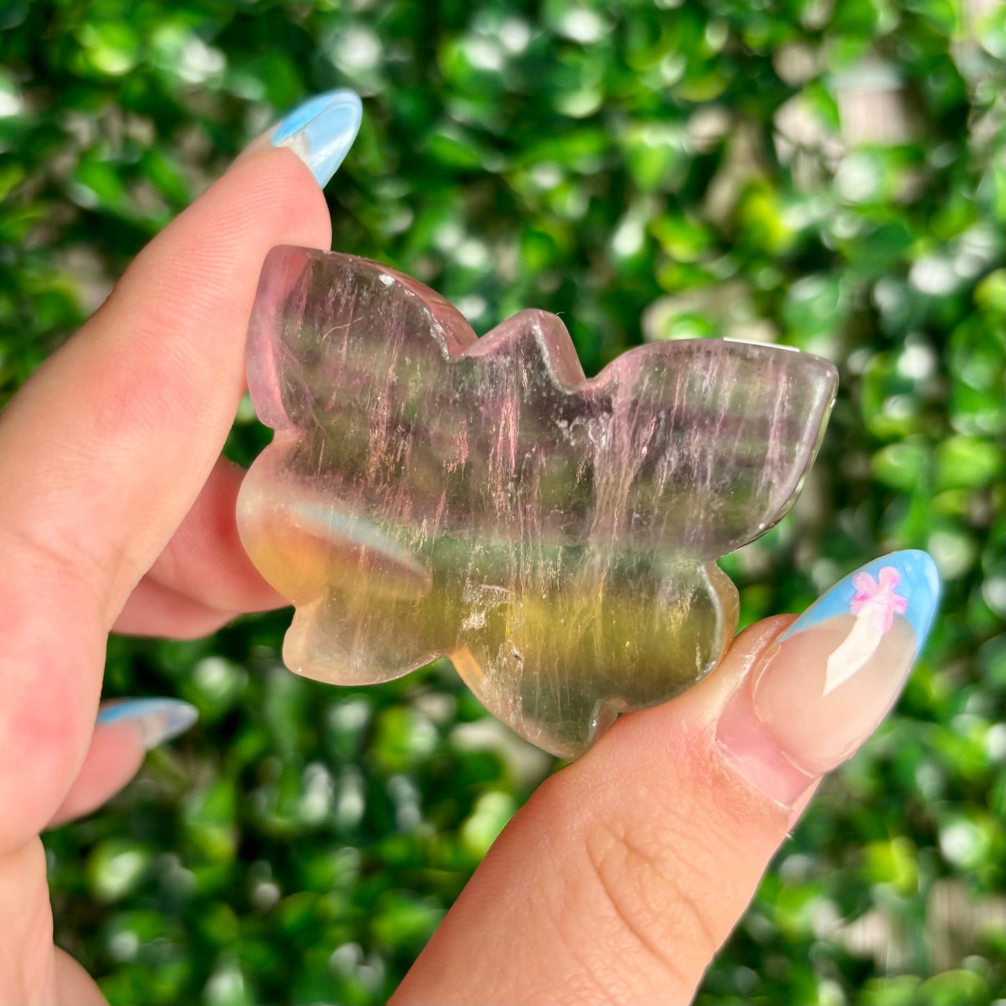 FLUORITE BUTTERFLY