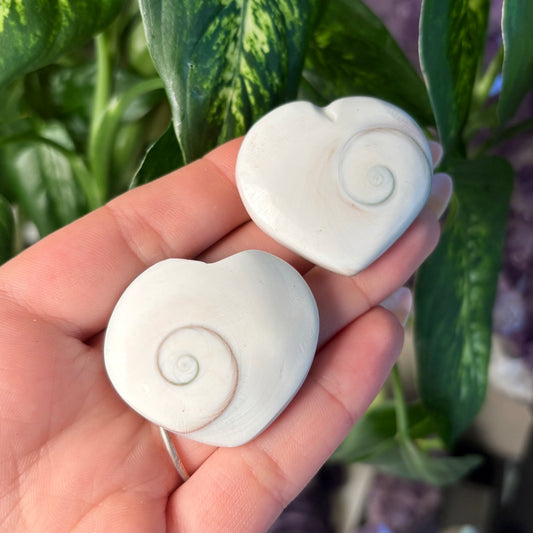 SHIVA SHELL HEART