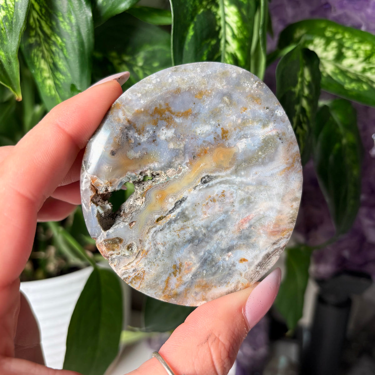 OCEAN JASPER BOWLS
