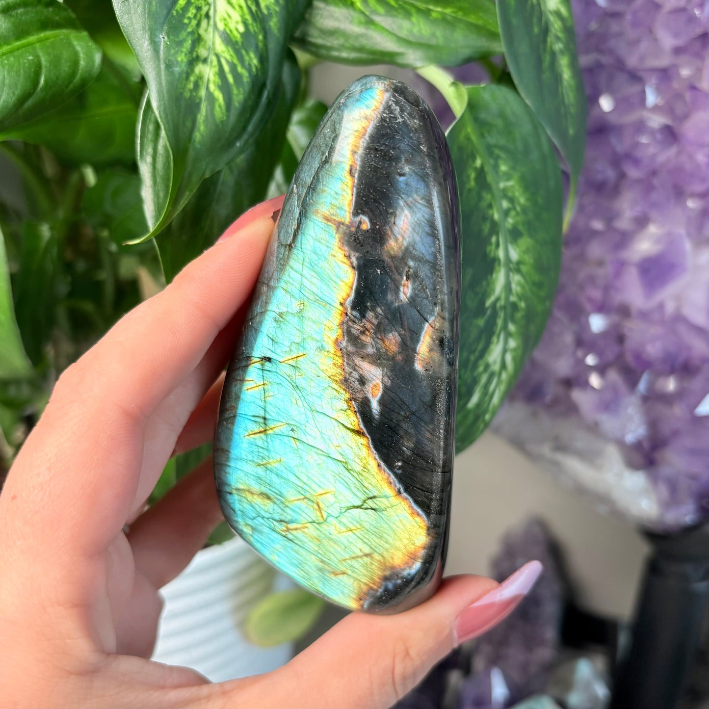 LABRADORITE FREEFORMS