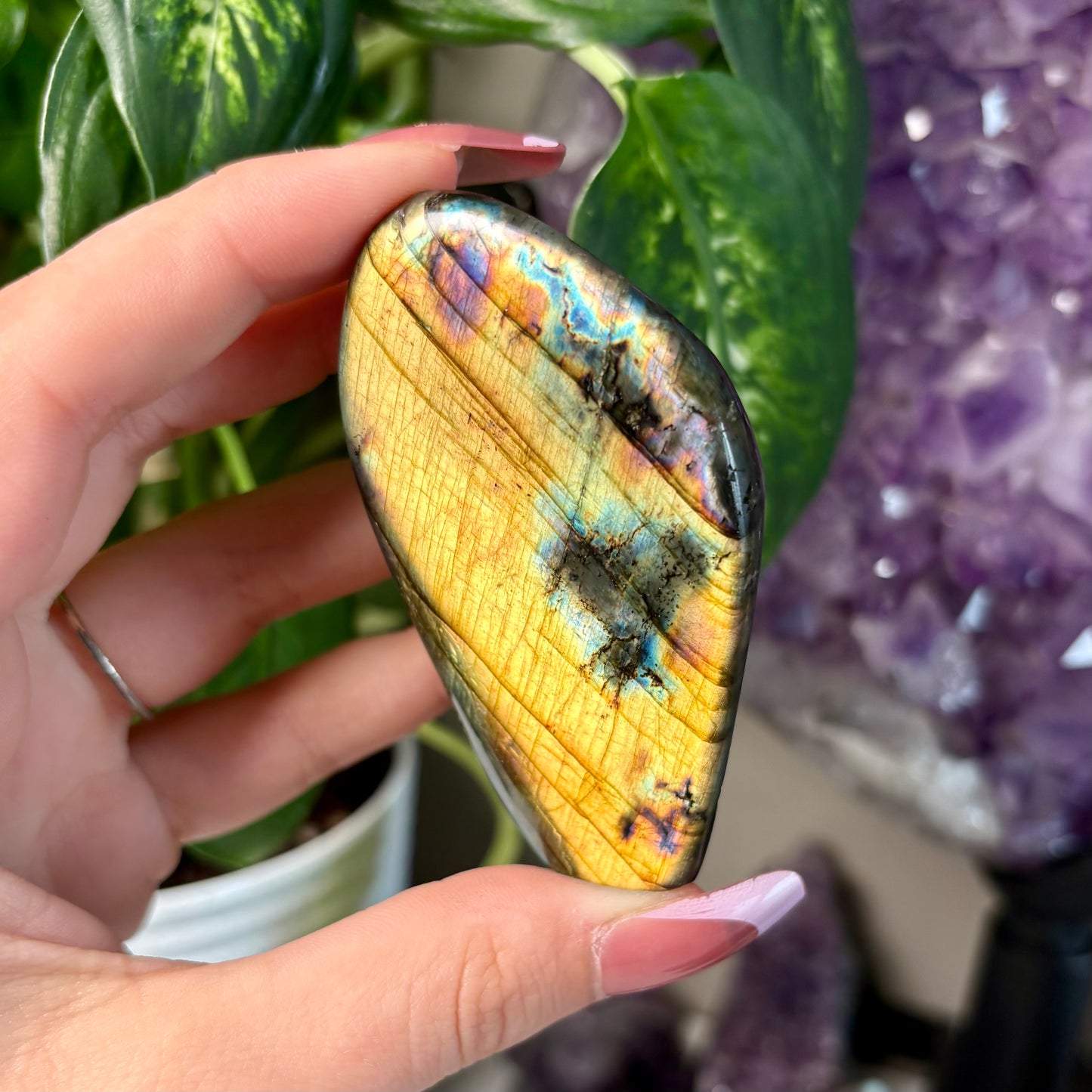 LABRADORITE FREEFORMS