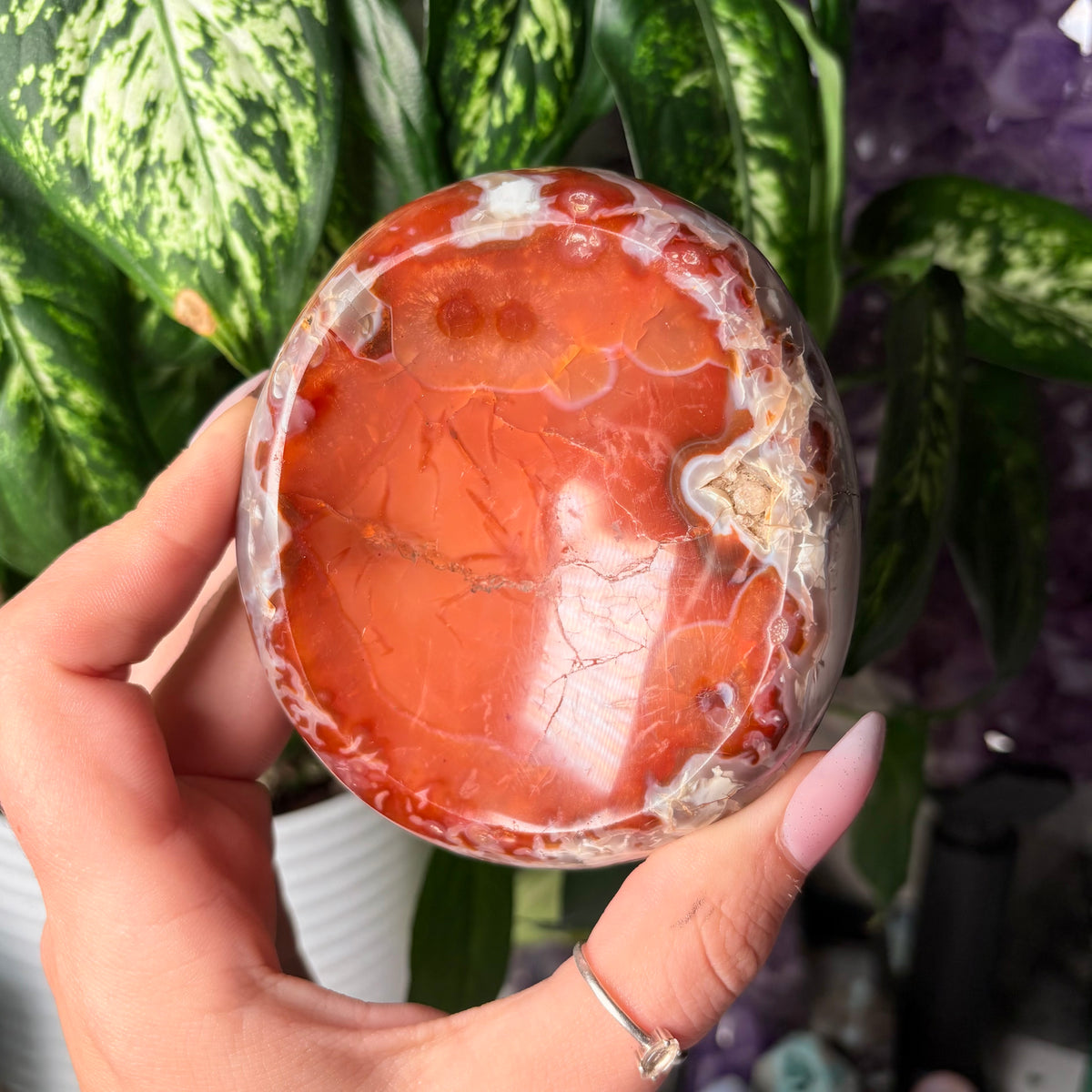 CARNELIAN BOWLS