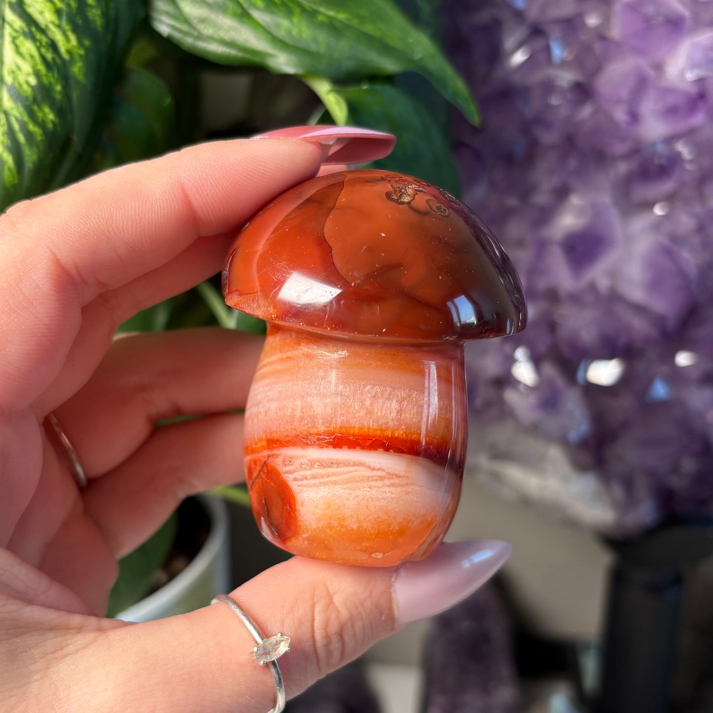 CARNELIAN MUSHROOM