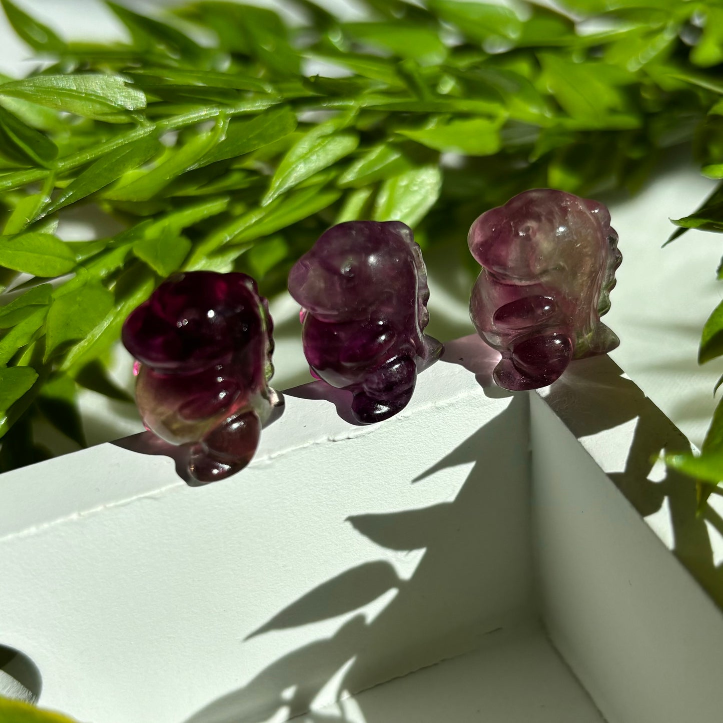 FLUORITE MINI DINOS