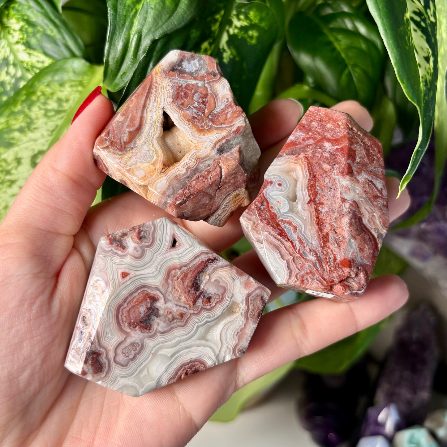 MOROCCAN AGATE FREEFORMS