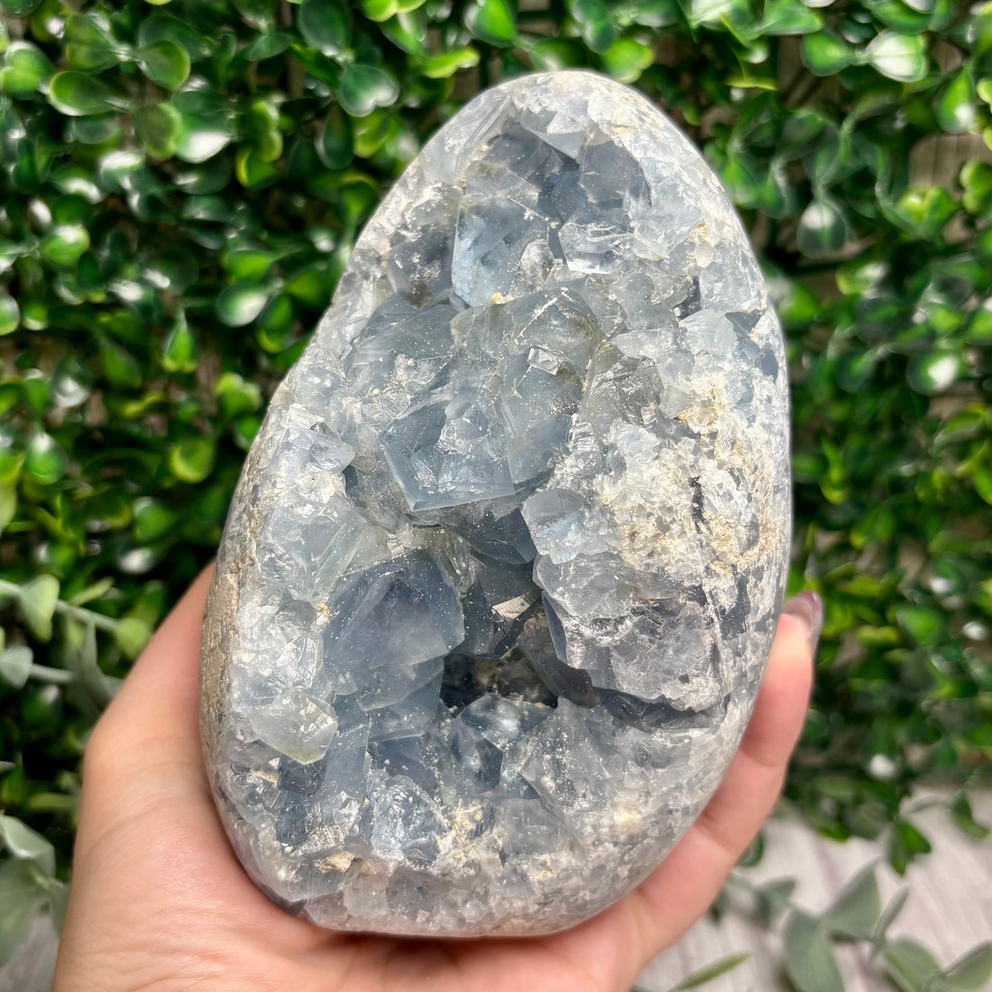 CELESTITE FREEFORMS