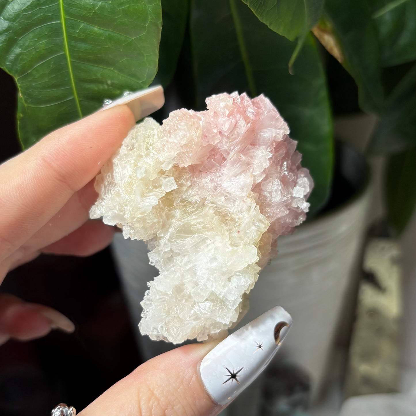 PINK HALITE SPECIMENS