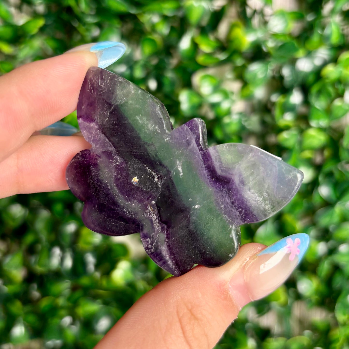 FLUORITE BUTTERFLY