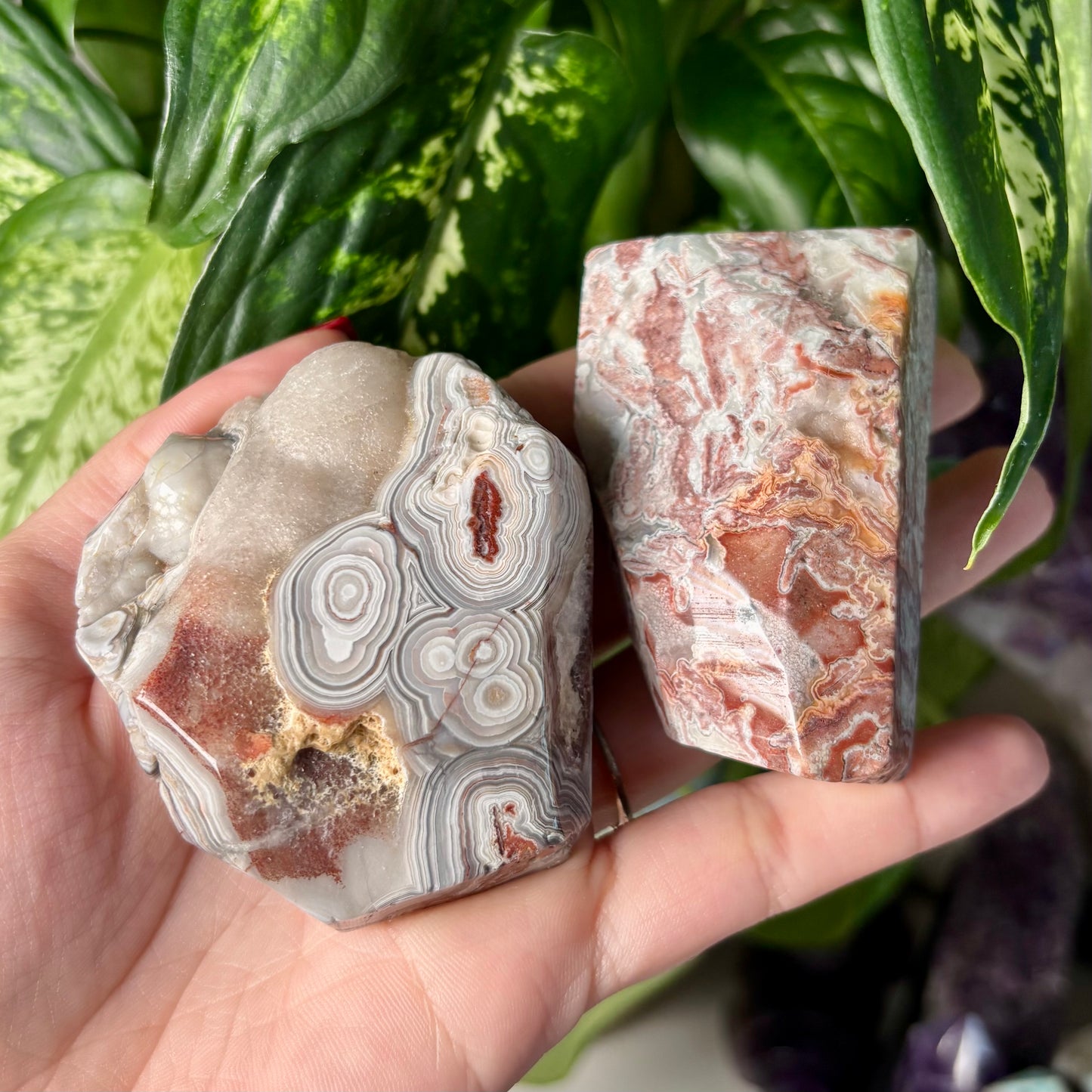 MOROCCAN AGATE FREEFORMS