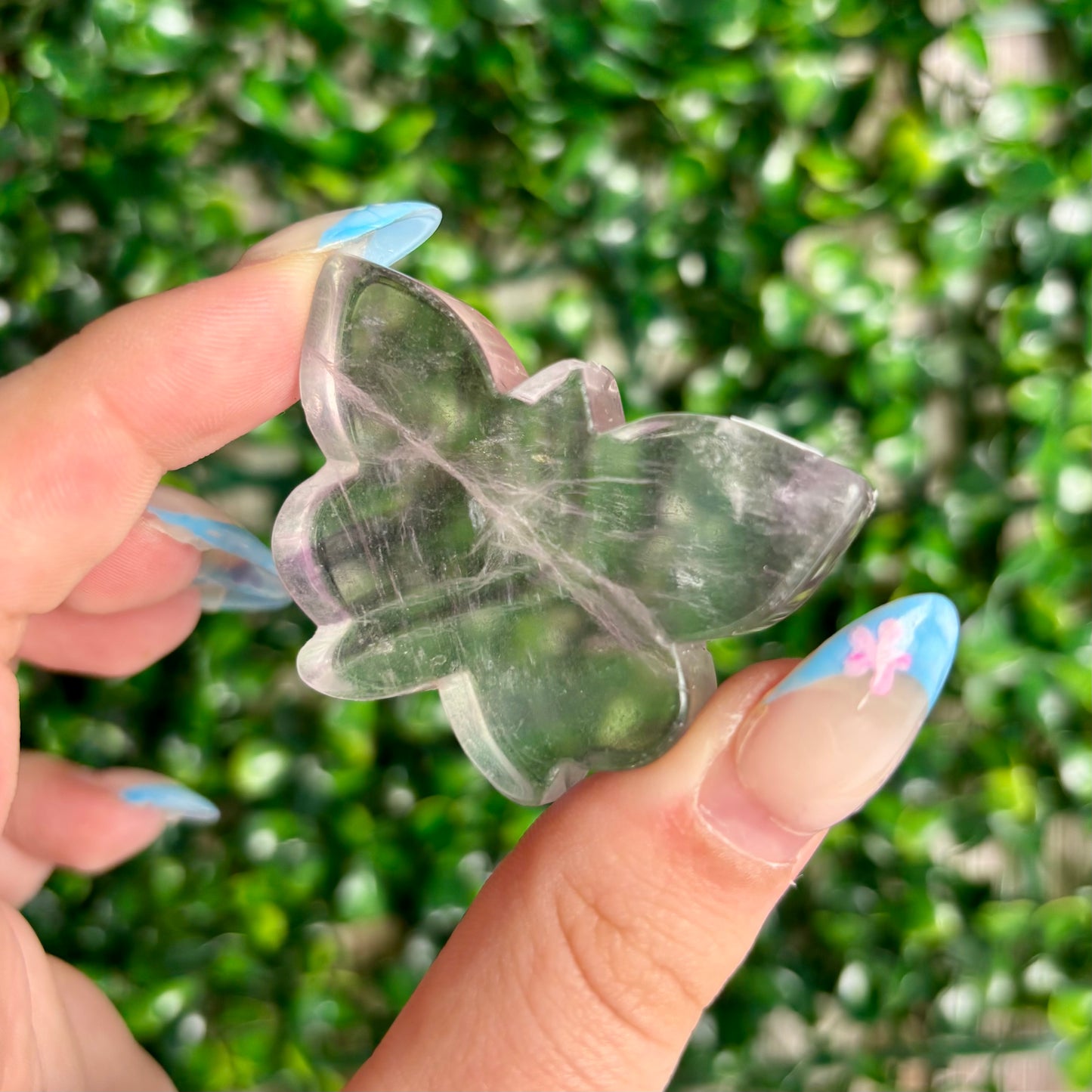 FLUORITE BUTTERFLY