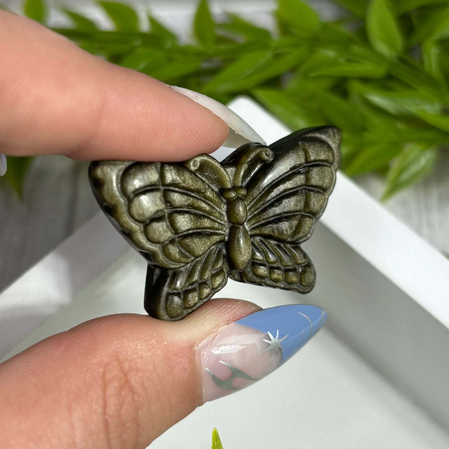 GOLD SHEEN OBSIDIAN BUTTERFLY