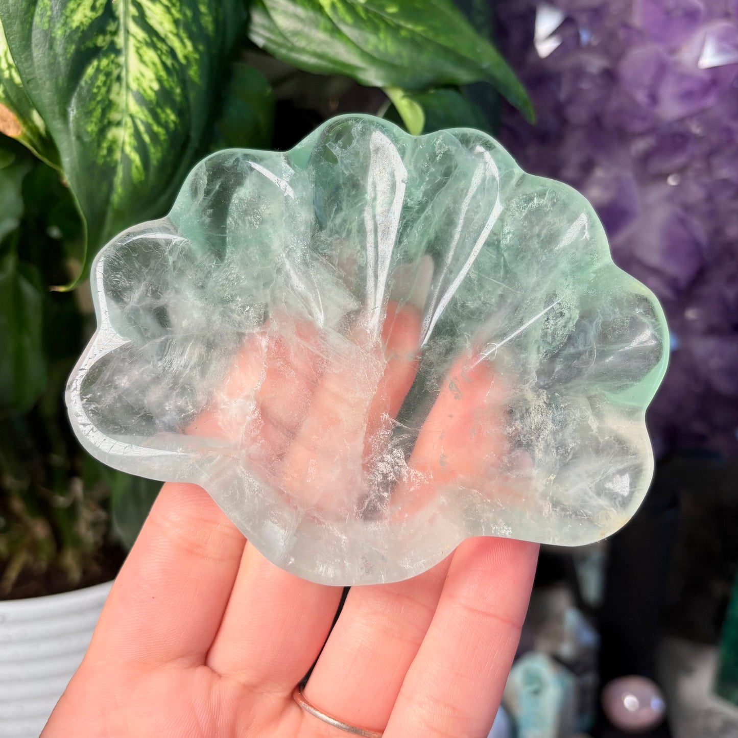 FLUORITE SEASHELL BOWLS