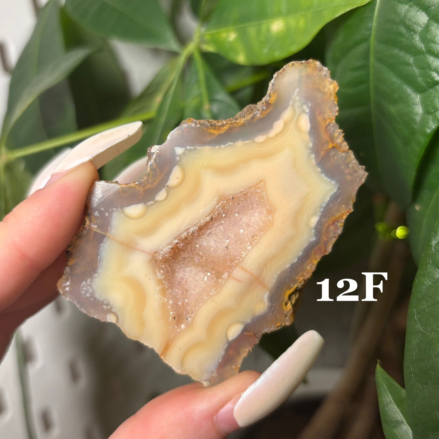 DRUZY AGATE SLABS