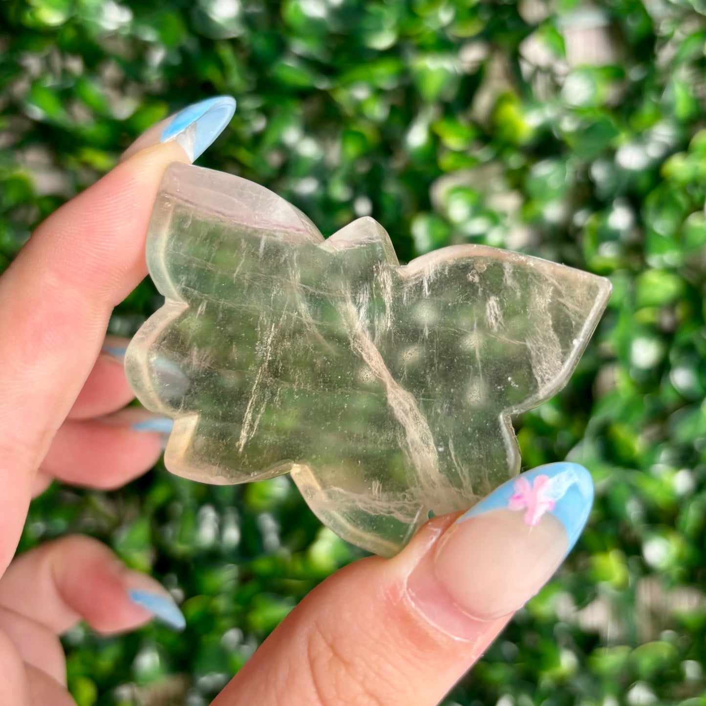 FLUORITE BUTTERFLY