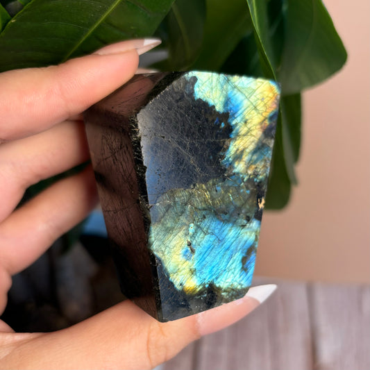 LABRADORITE GUSHERS