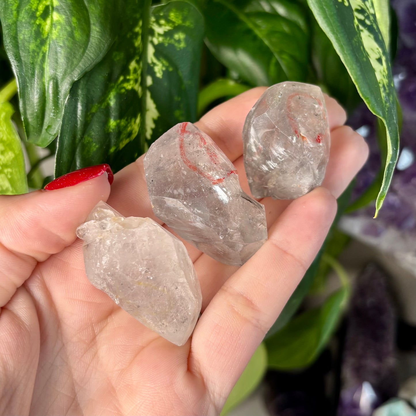 GARDEN QUARTZ ENHYDROS