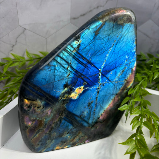 LABRADORITE FREEFORMS