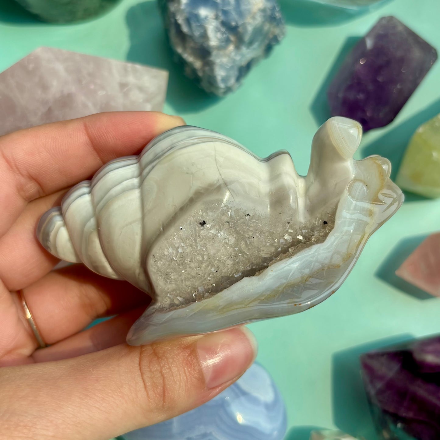 AGATE DRUZY SNAILS