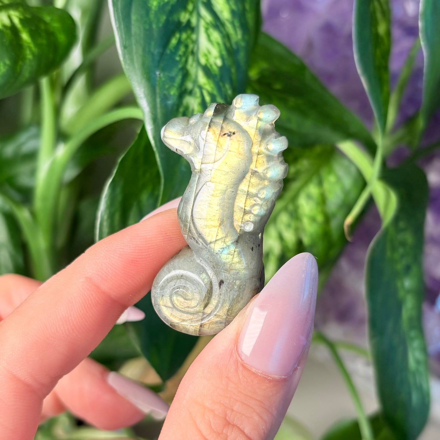 LABRADORITE SEAHORSE
