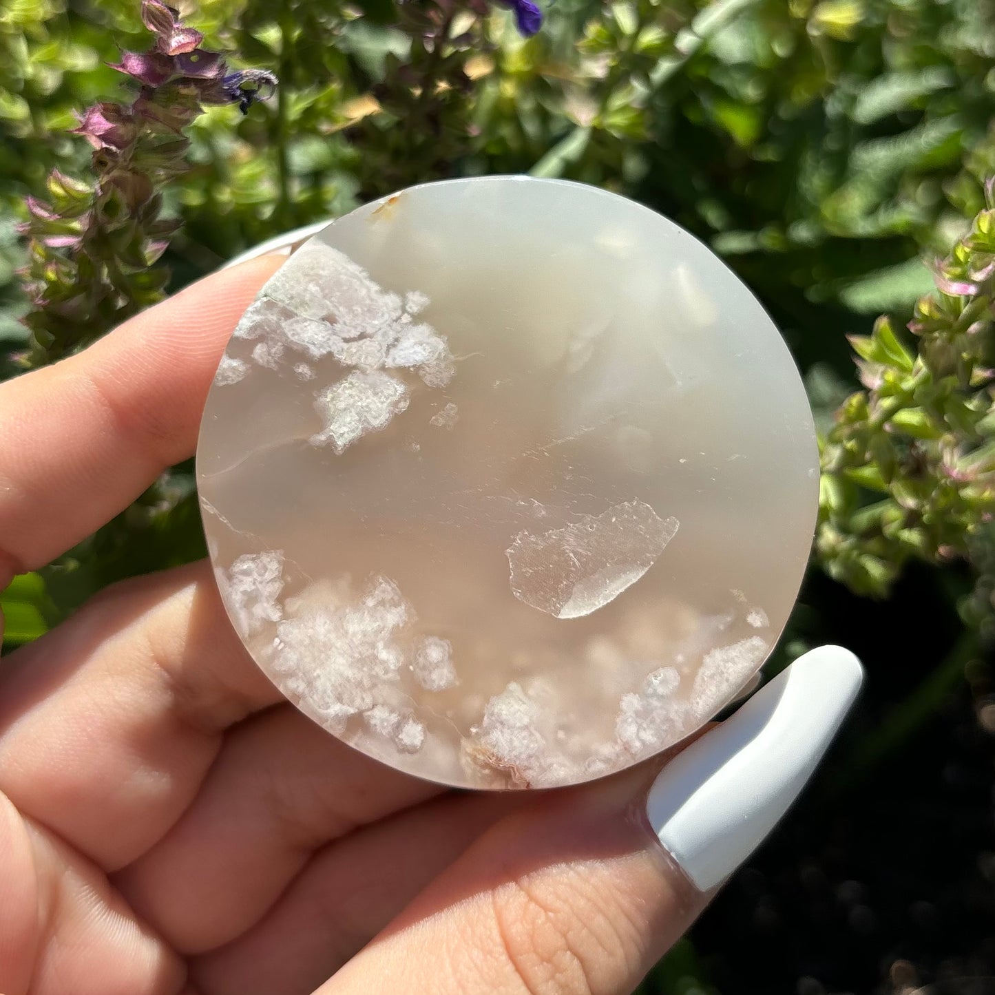 FLOWER AGATE SLICES