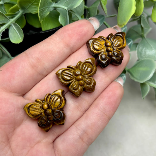 TIGERS EYE BUTTERFLY