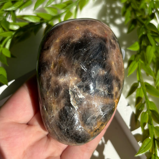 BLACK MOONSTONE PALMSTONES