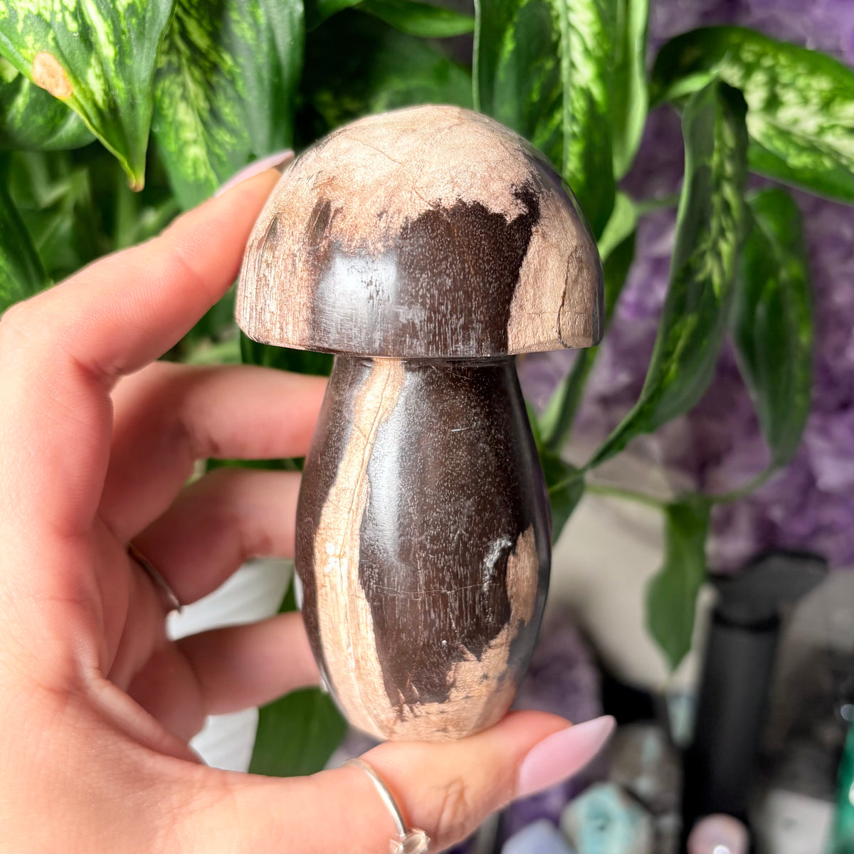 XL PETRIFIED WOOD MUSHROOM