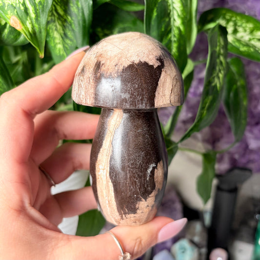 XL PETRIFIED WOOD MUSHROOM