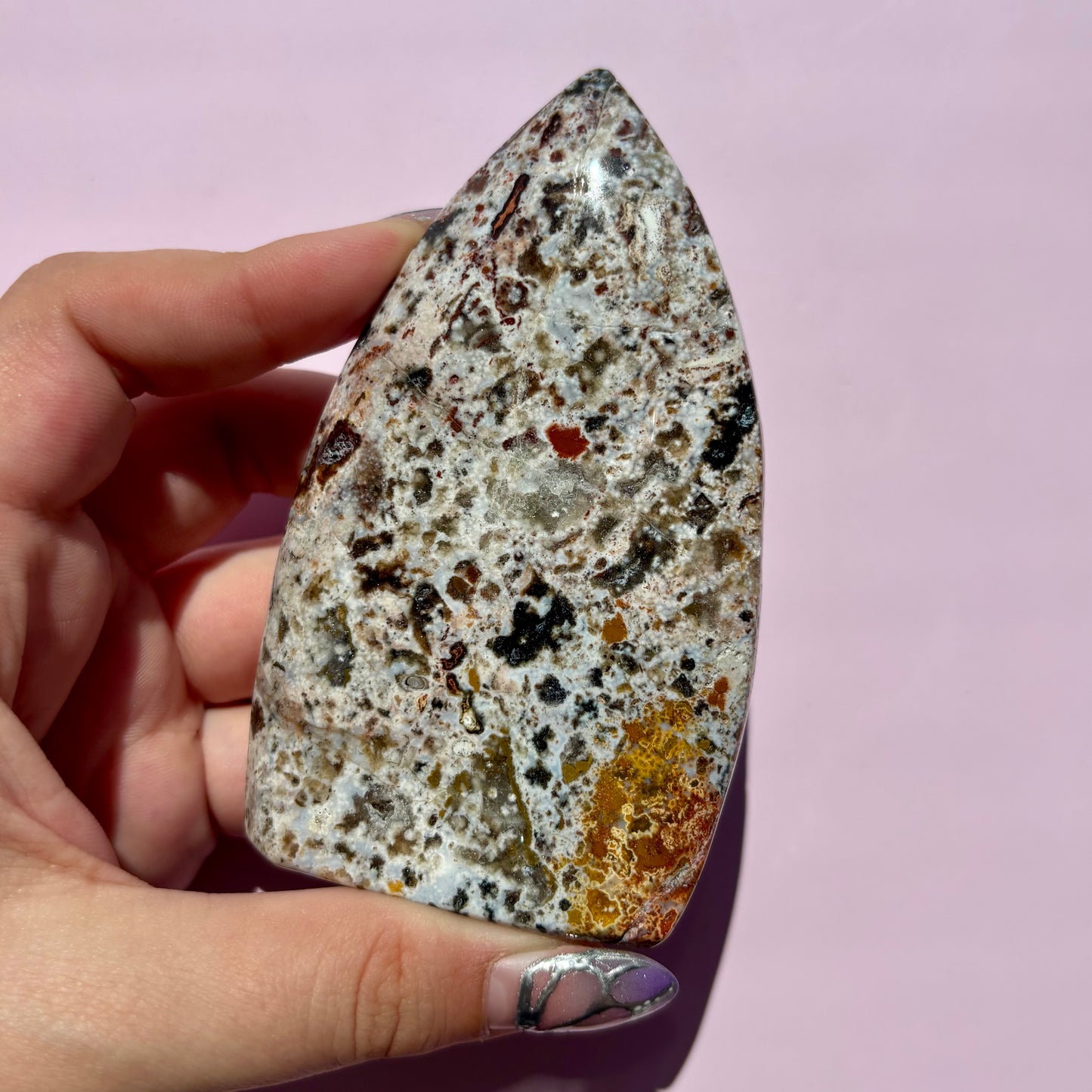 OCEAN JASPER FREEFORMS